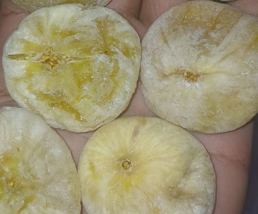 خرید انجیر سکه ای کرمانشاهی + خرید به صرفه